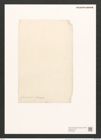 Amphora fluminensis Grun. (de-Toni-Nr.: Genus 36, Species 1555) Zeichnungen Sammlung Grunow (NHMW-BOT-W0370368)